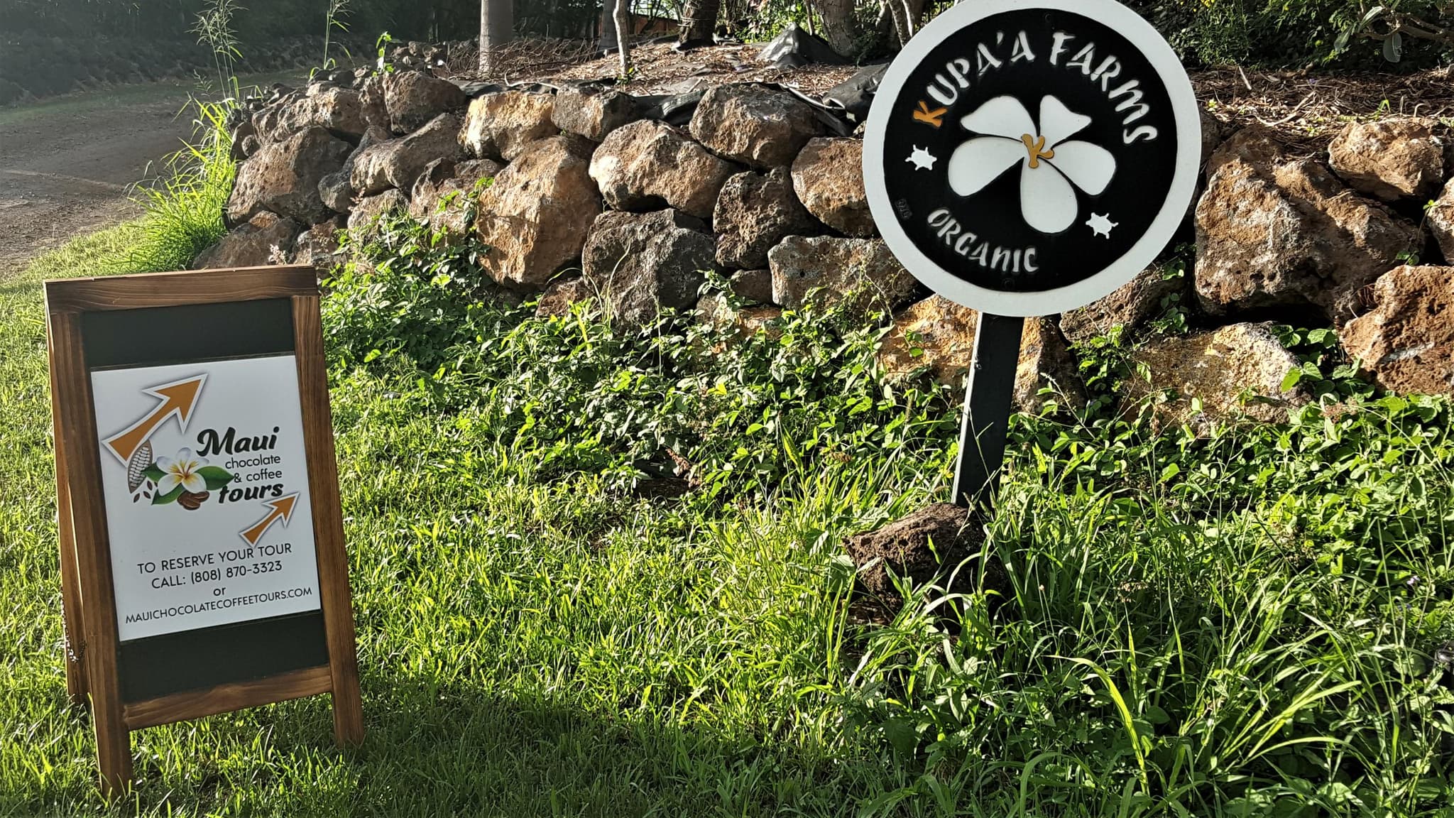 Chocolate and Coffee Adventure