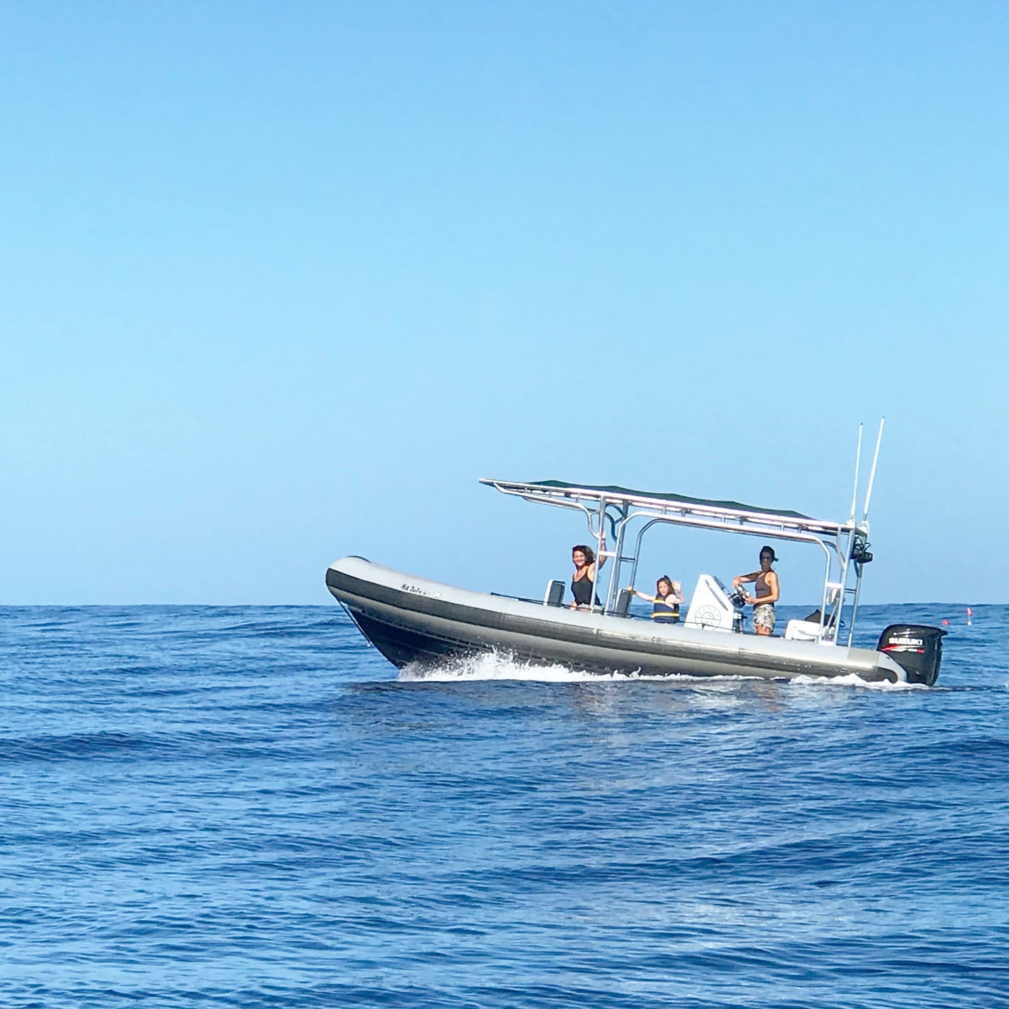 1.5 Hour Shark Adventure (No Swiming/Diving)