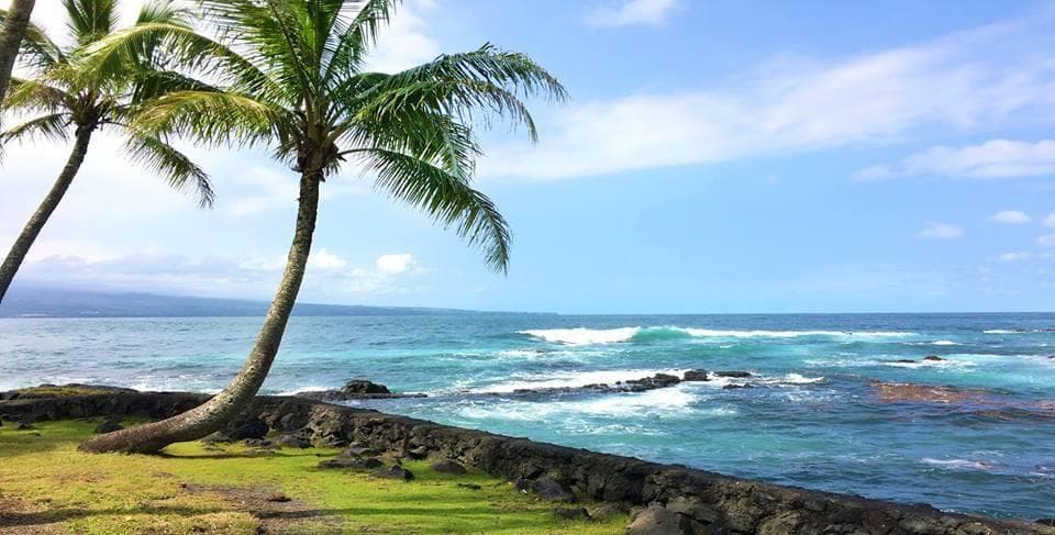 Beach Snorkel - Sea Turtle Lagoon and Black Sand Beach
