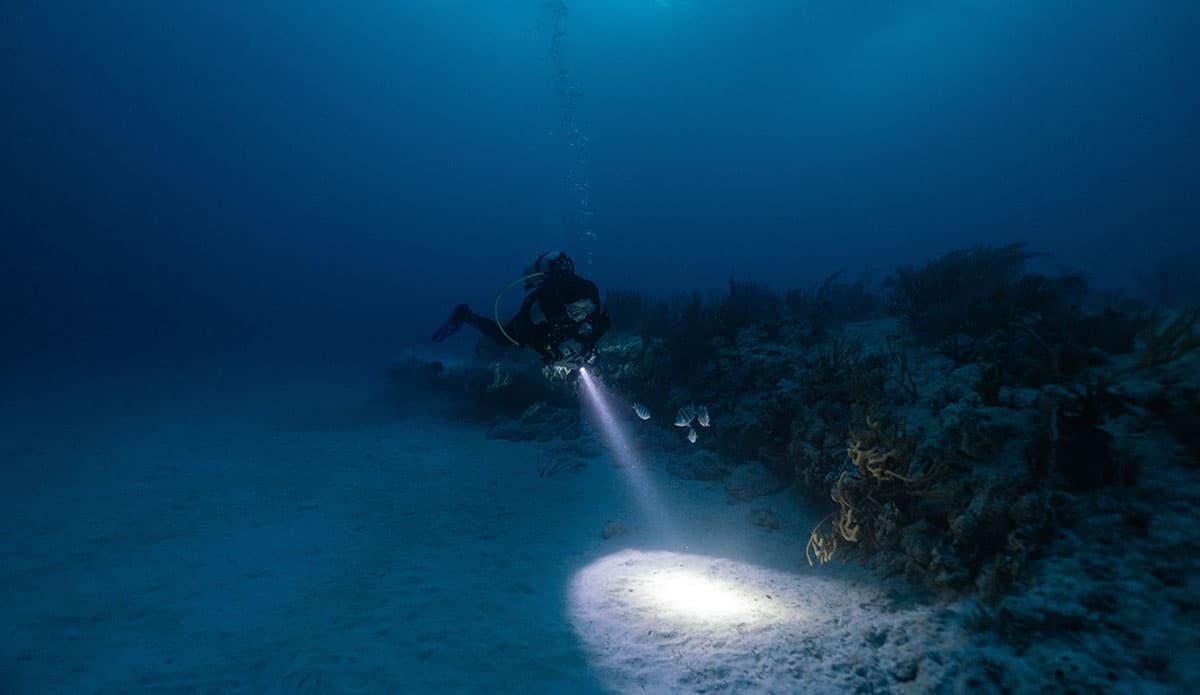 Night Dive