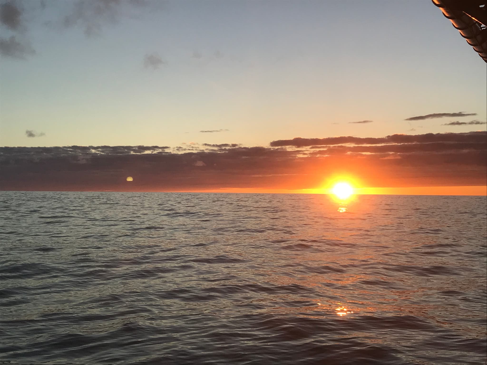 Manta Ray Experience Private Boat