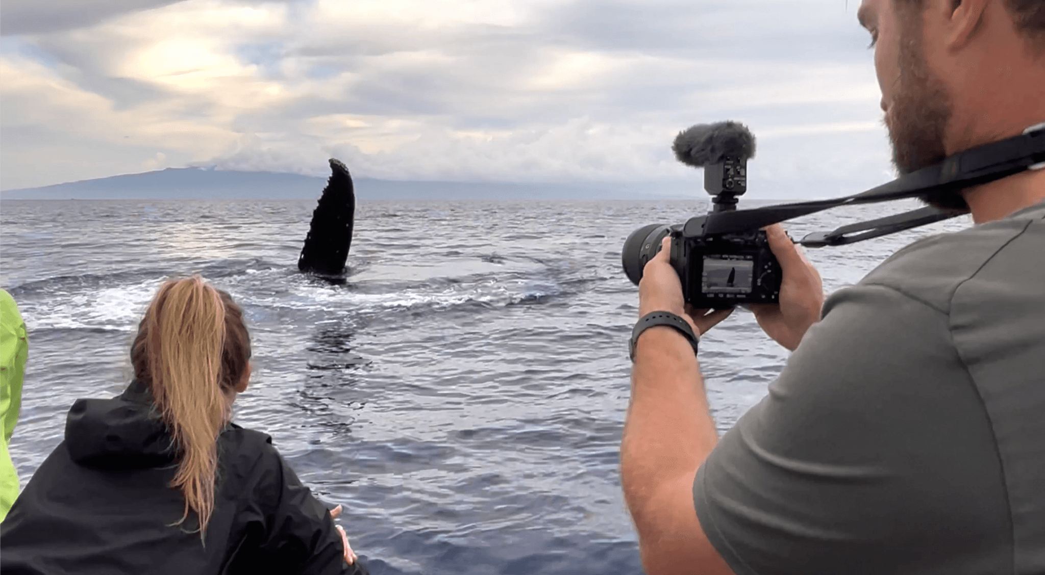 2n1 Semi-Private Eco-Raft 4 Hour Snorkel & Whale Watch