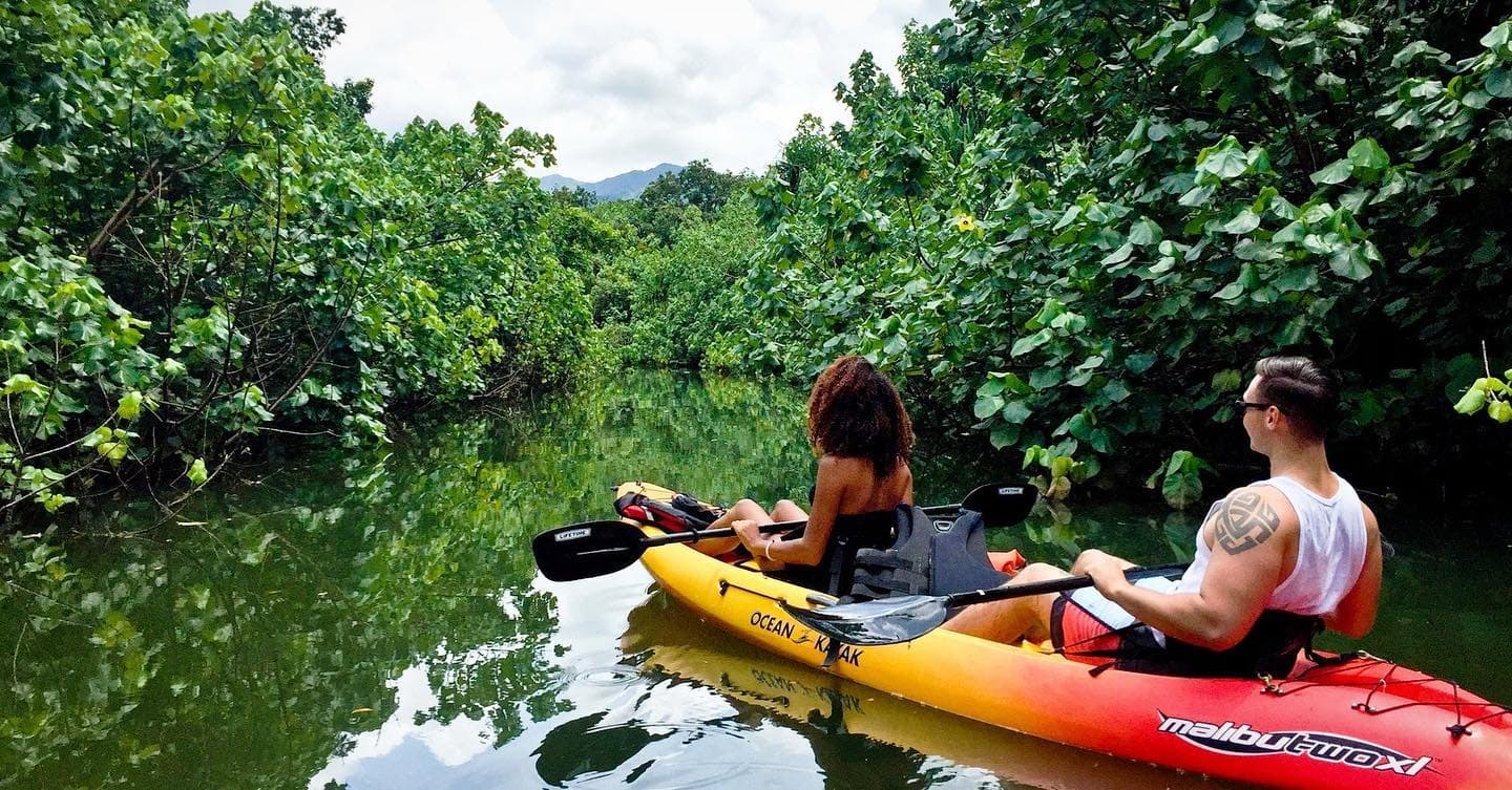 Rainforest Self-Guided Kayak Tour