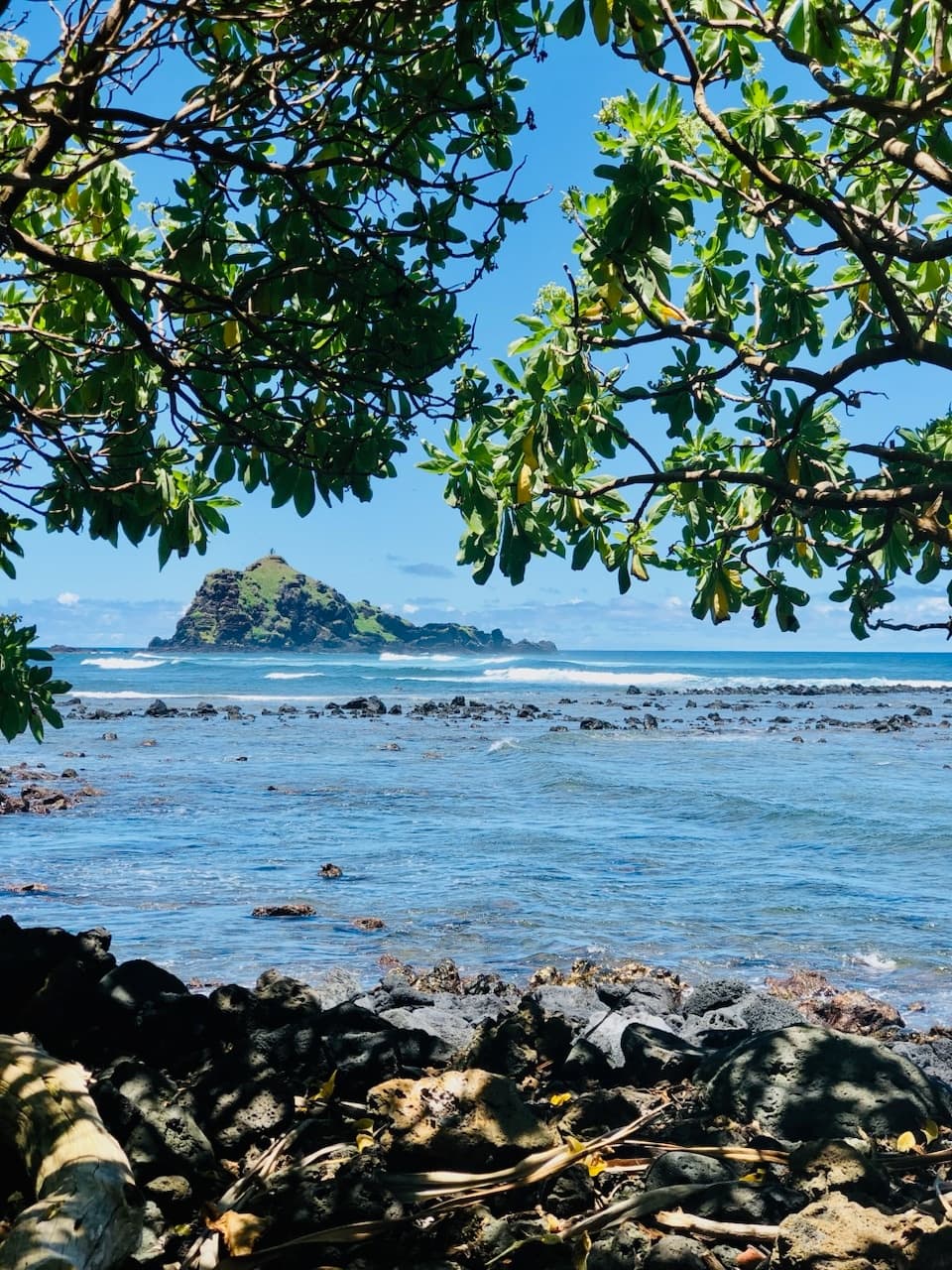 Cruise Ship Tour Package (Private Hana Tour)(Kahului Port Only)