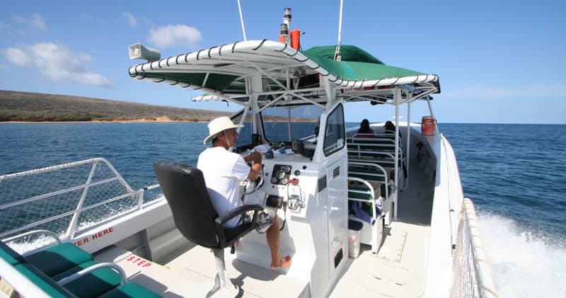 Private Charter - Humpback Whale Watching & Dolphin Search