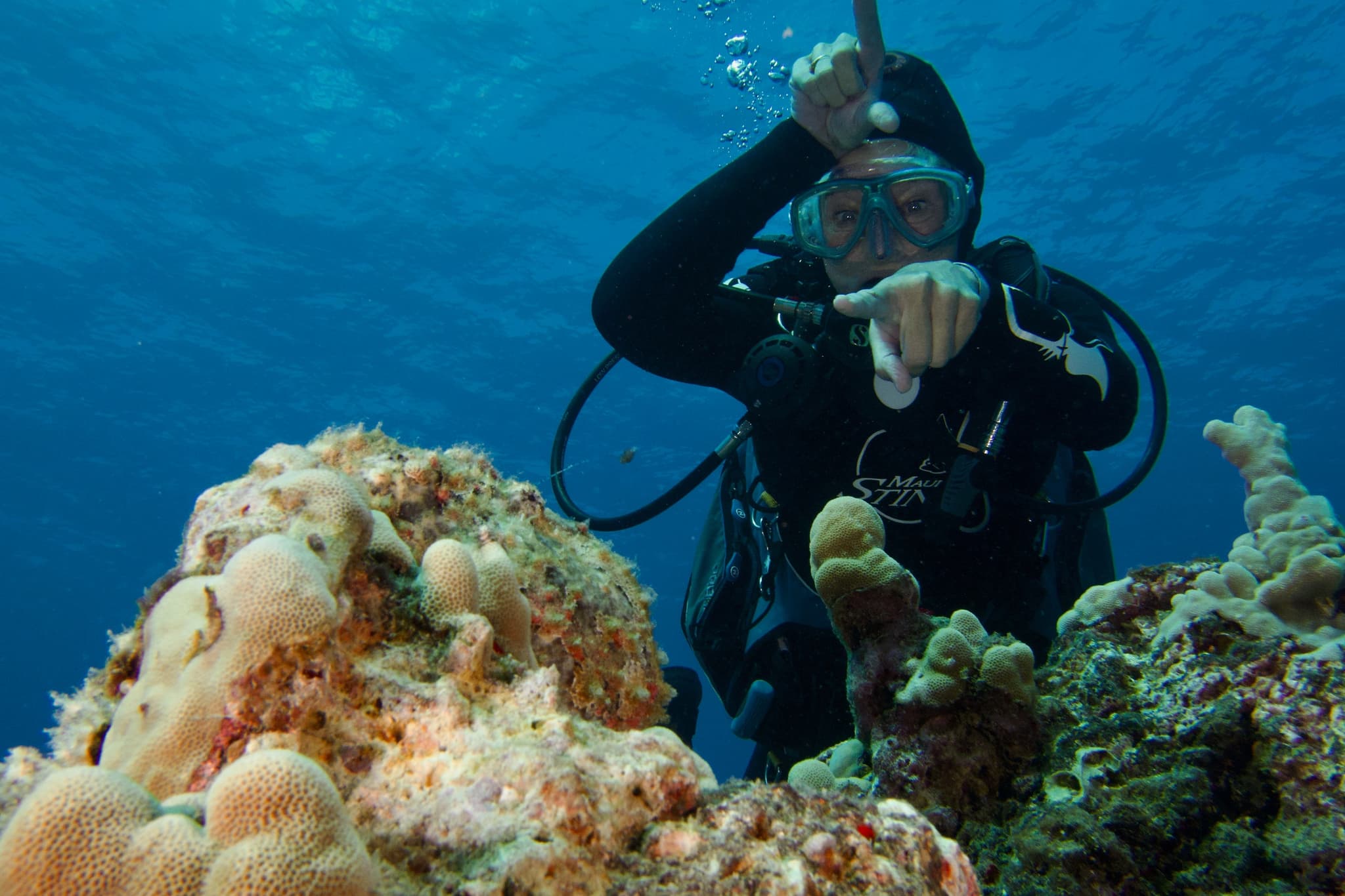 1-Tank Guided Shore Dive 9:30 am
