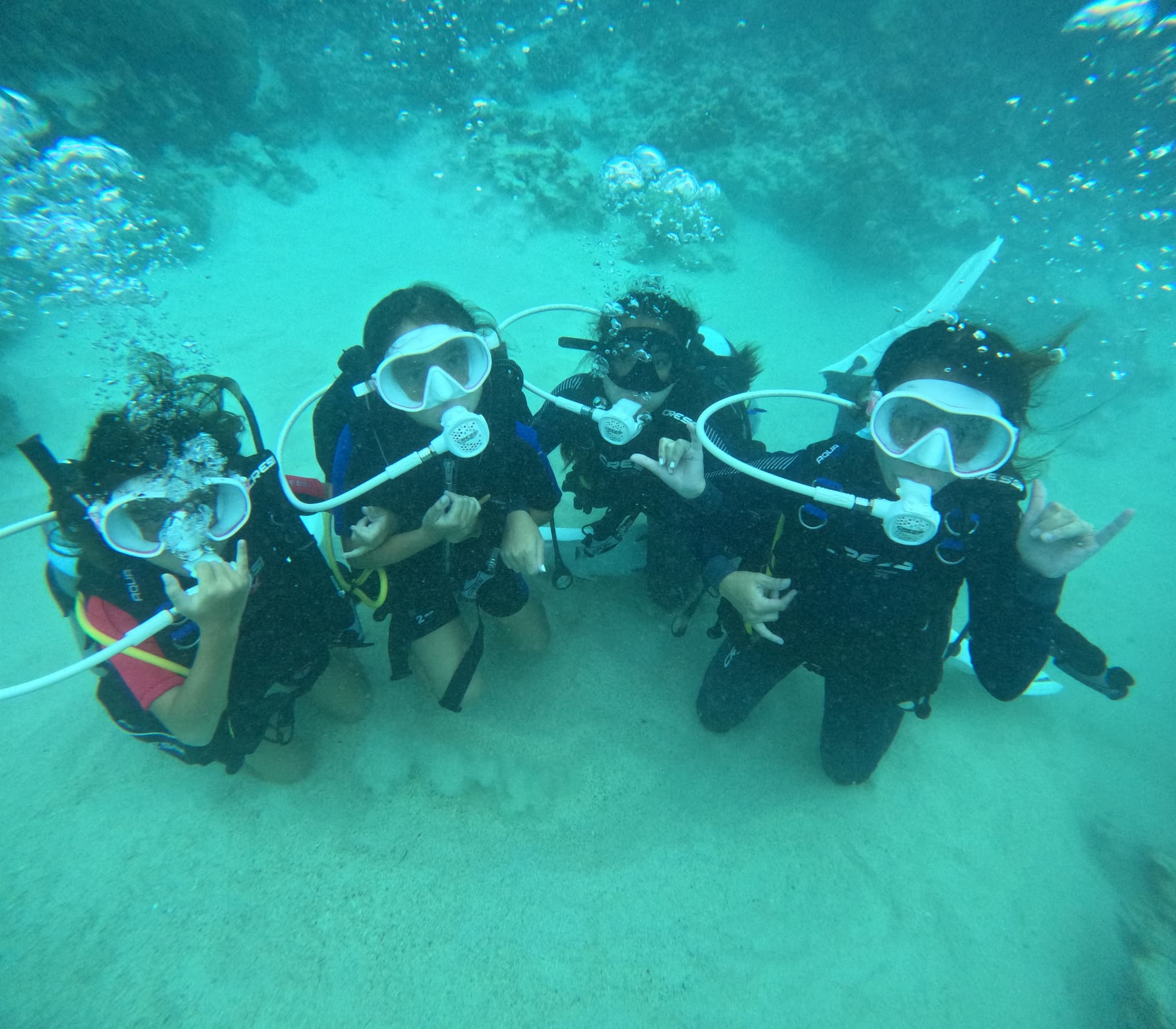 1.5 Hour Snorkel or 1 Tank Dive Boat Tour