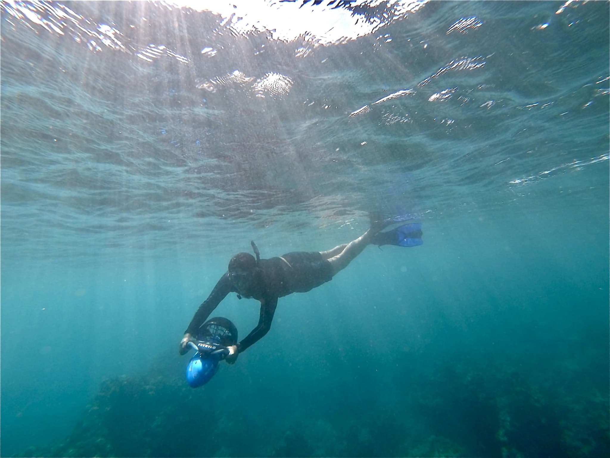 Puako Sea Scooter Snorkel Experience