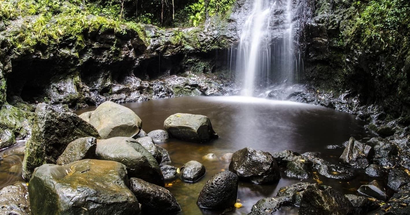 Oahu's Ultimate North Shore & Valley Of The Priests "Waimea Falls" Adventure Tour!