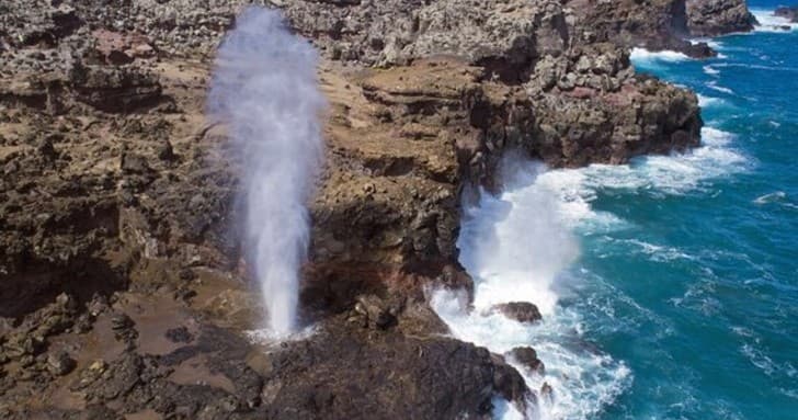 Circle Island Tour Waikiki Pick-up with Waimea Valley Waterfall