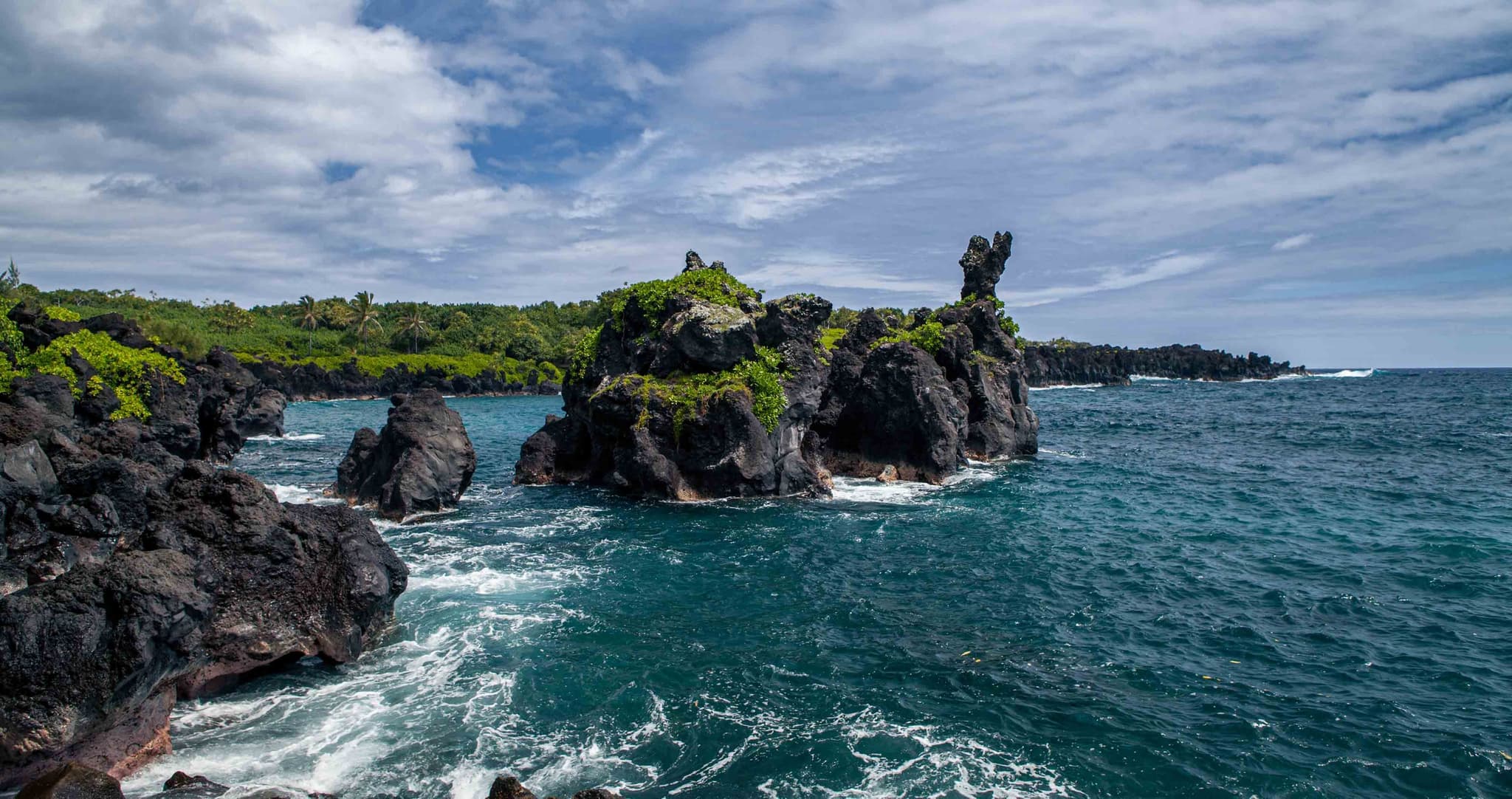 Private Tours: Road to Hana & Haleakala National Park or Customized Adventures