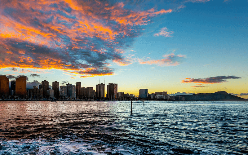 Whale Watching & Late Breakfast Cruise