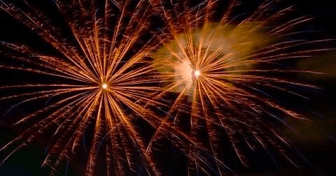 New Year's Cocktail Sail • Ma'alaea