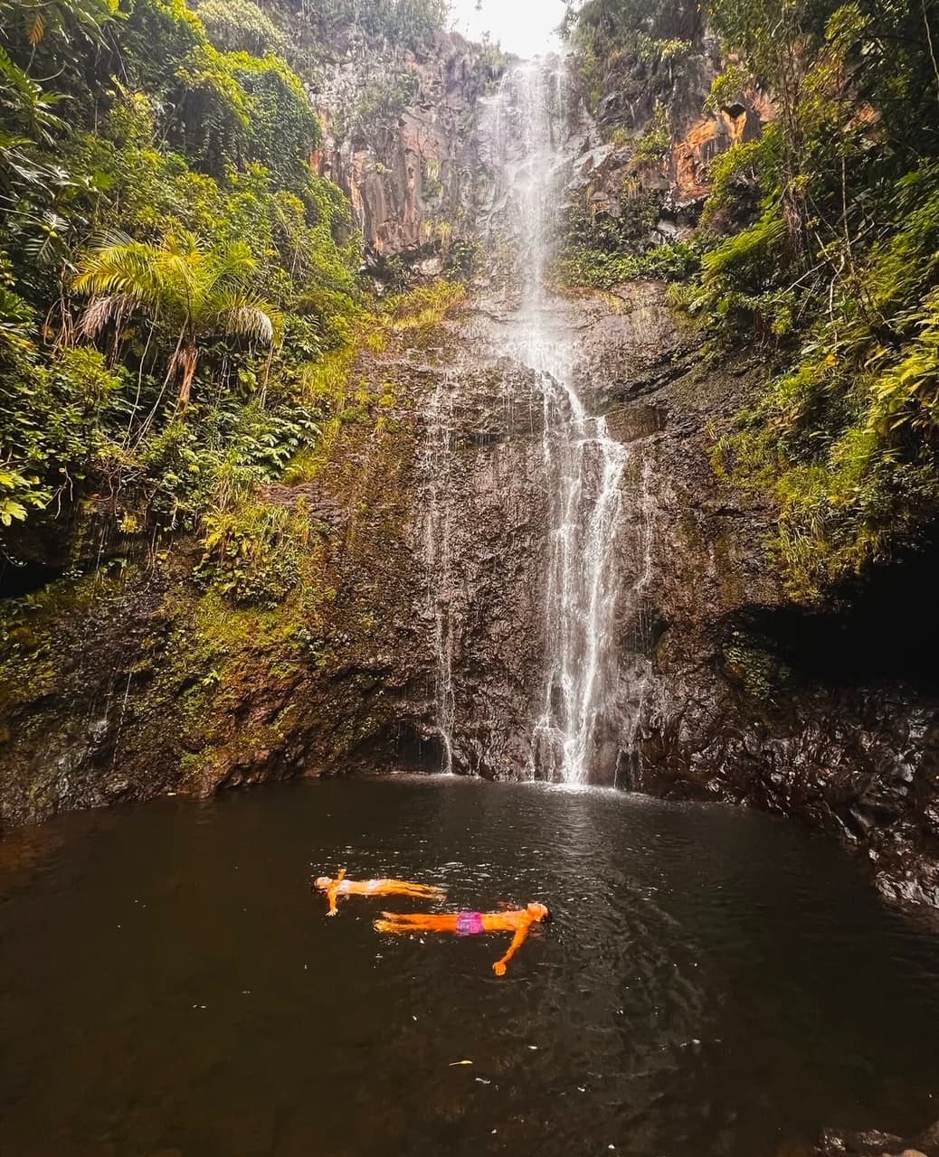 Maui’s Sea Turtles, Waterfalls and Road to Hana Adventure