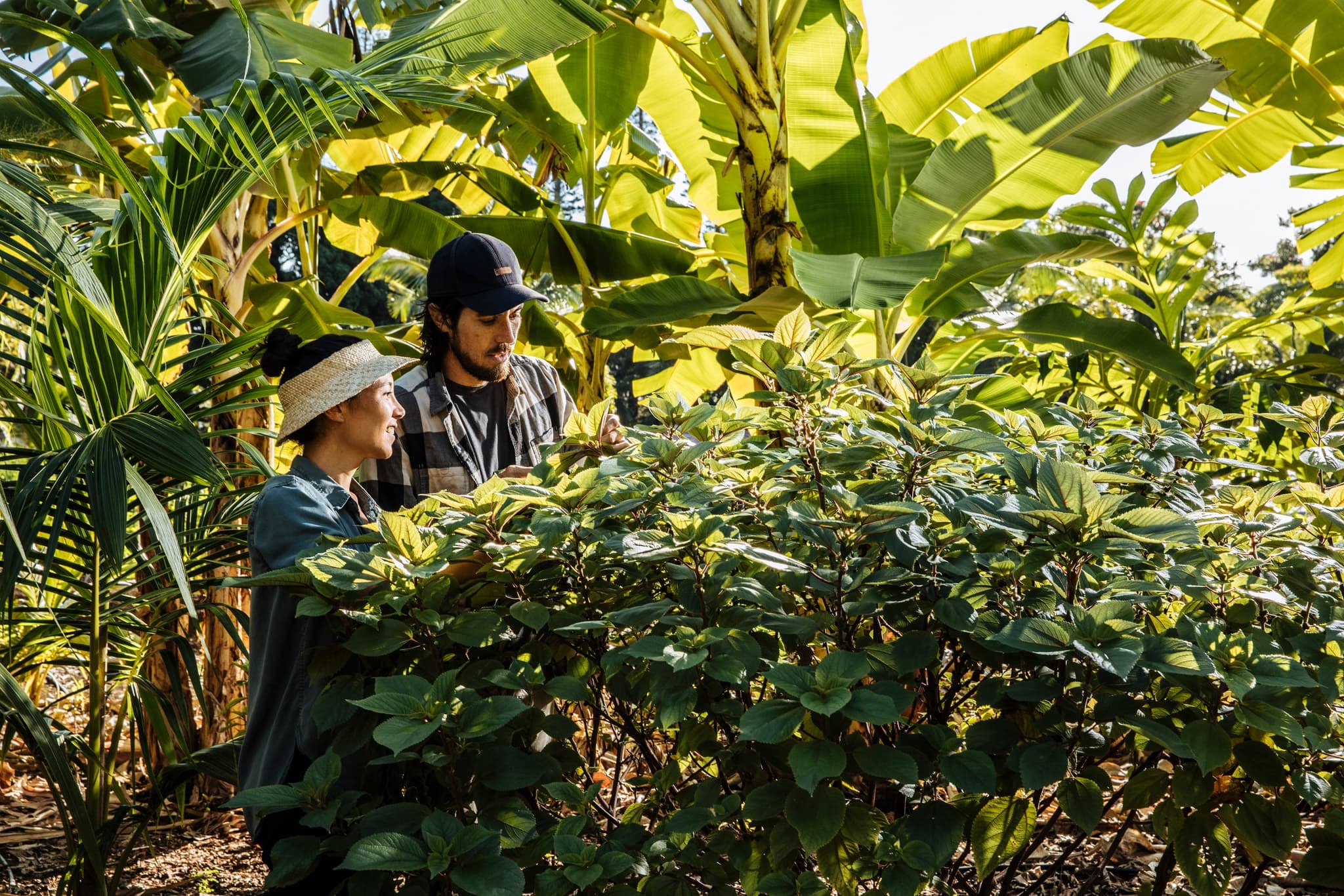 Canoes to Cane: A Journey Through Hawaiʻi’s Foodscape