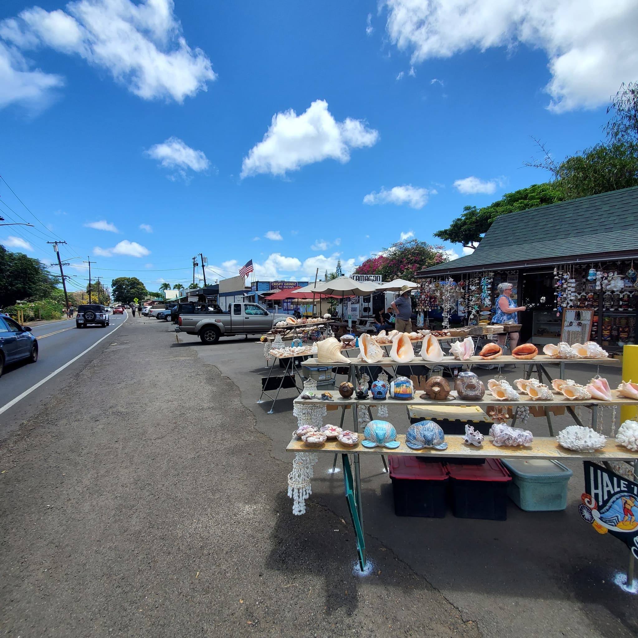 Round Trip North Shore Haleiwa Shuttle