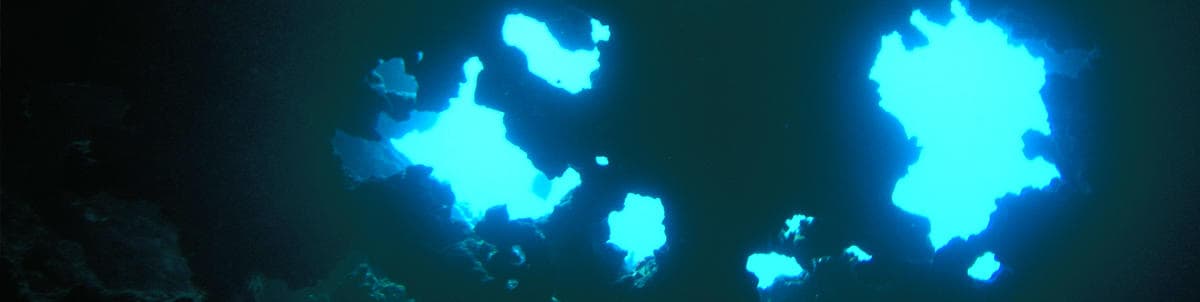 Dive Lanai Cathedrals