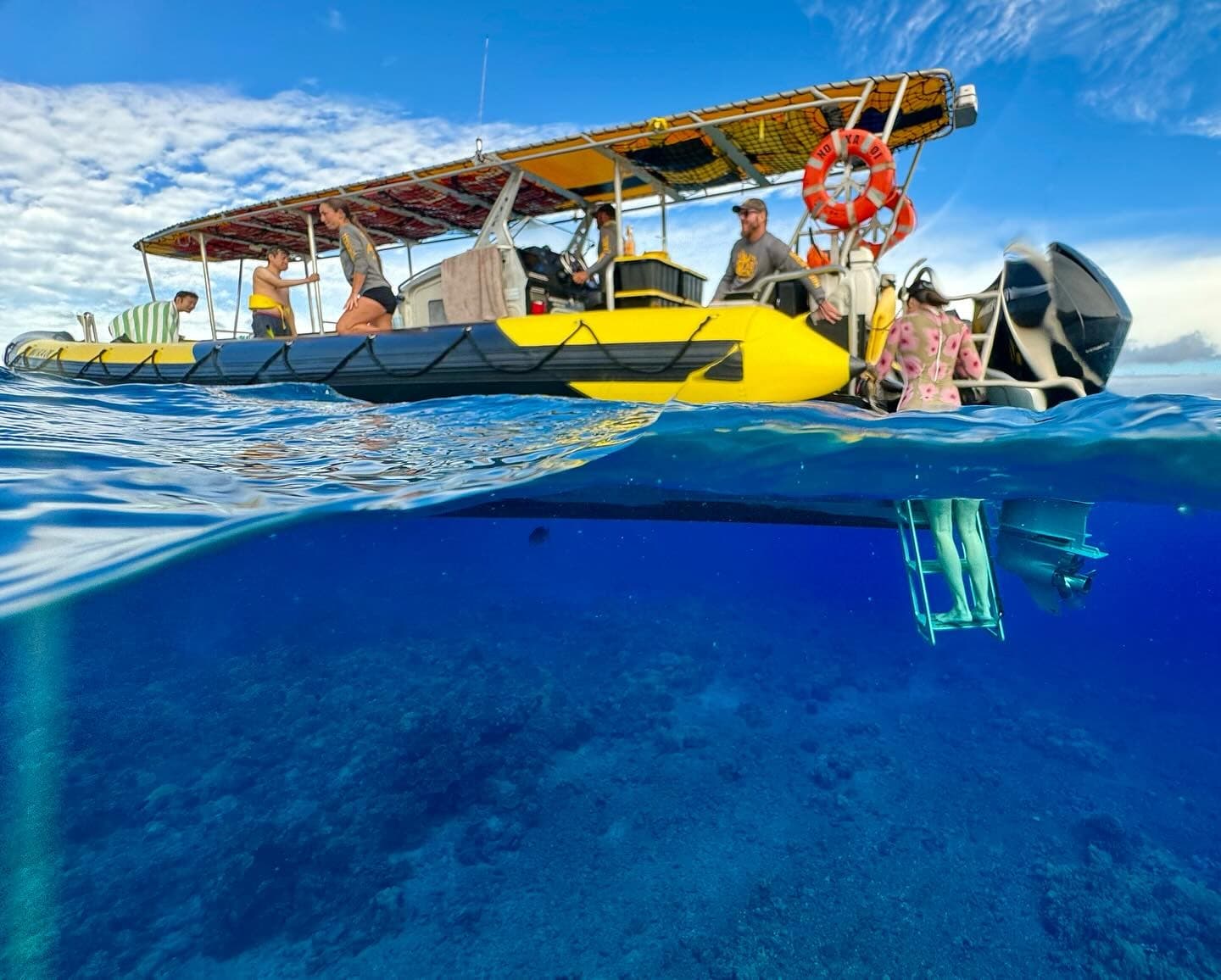 Sea Turtle & Molokini Tour