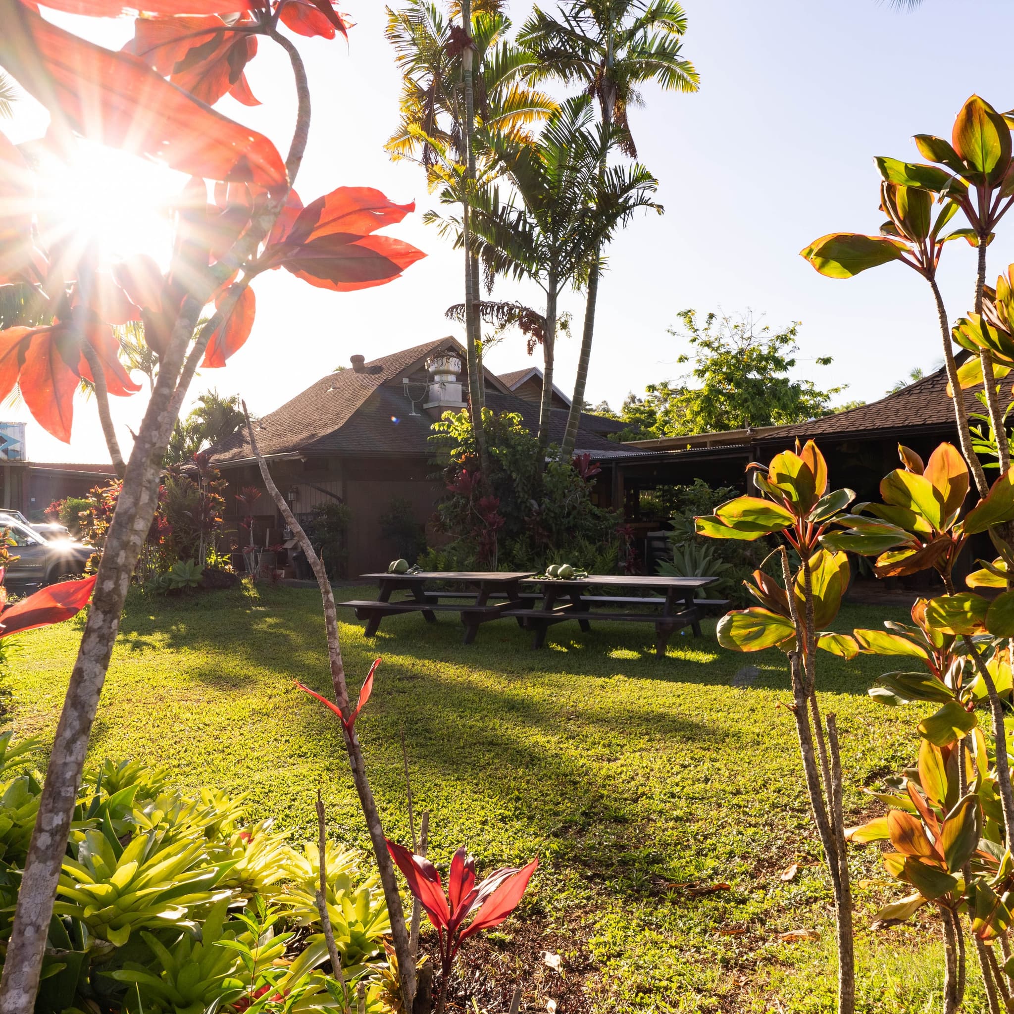 Common Ground Lounge Nights