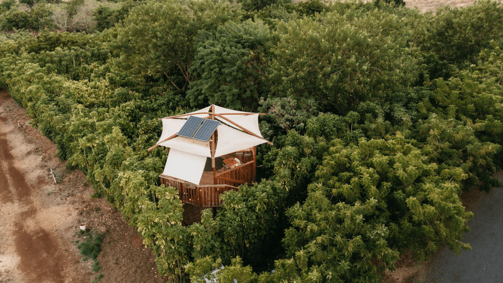 Cacao Farm Tour & Treehouse Lunch