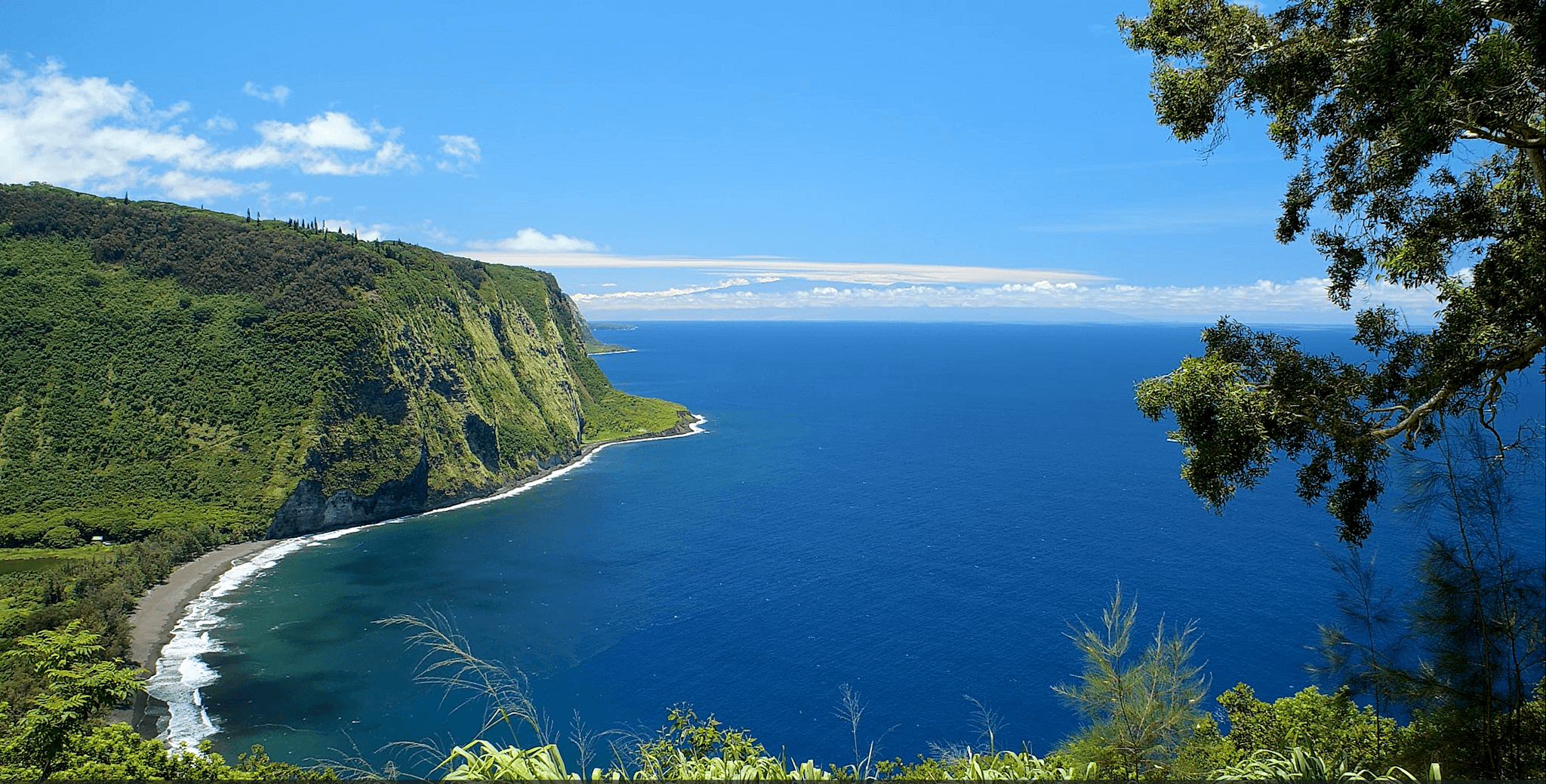 Private Flavors of Hawaii Tour