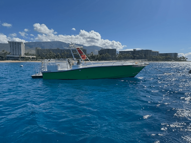 Private Charter Whale Watch & Dolphin Search