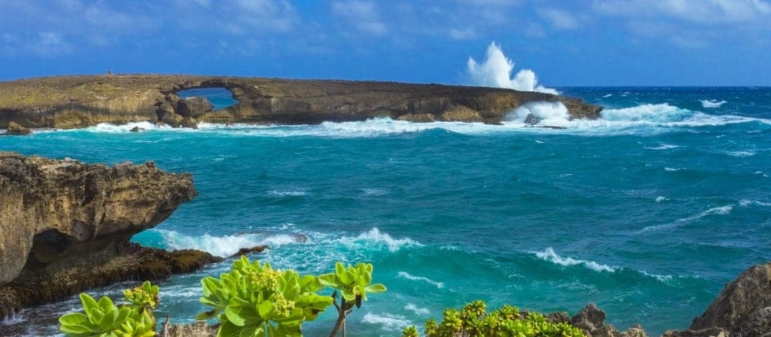 13K - Oahu Grand Circle Island, Dole Plantation, and Macadamia Farms Tour Departing from Kauai