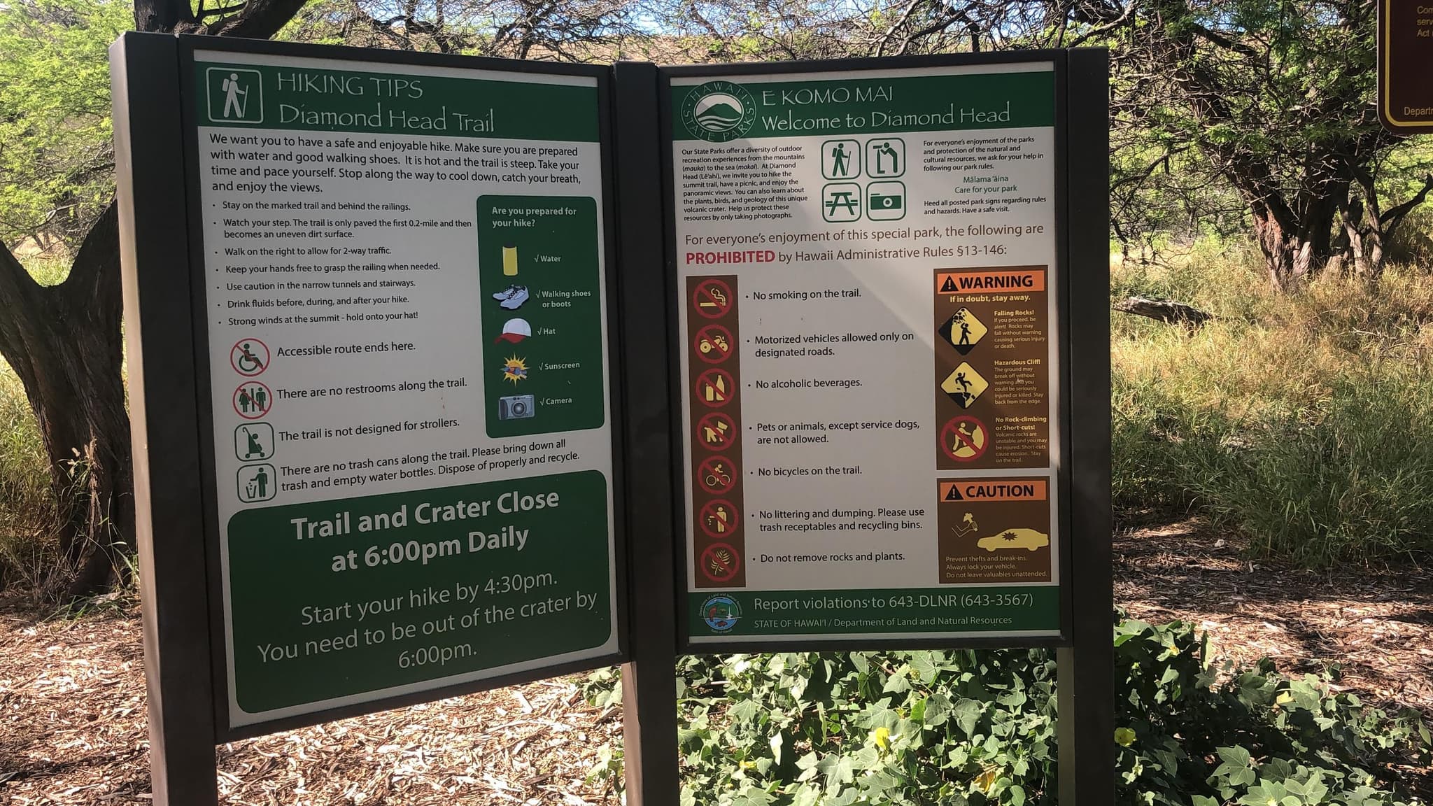 Shaxi Diamond Head Hiking and Waikiki Beach Tour