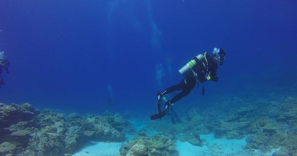 Discover Scuba Dive