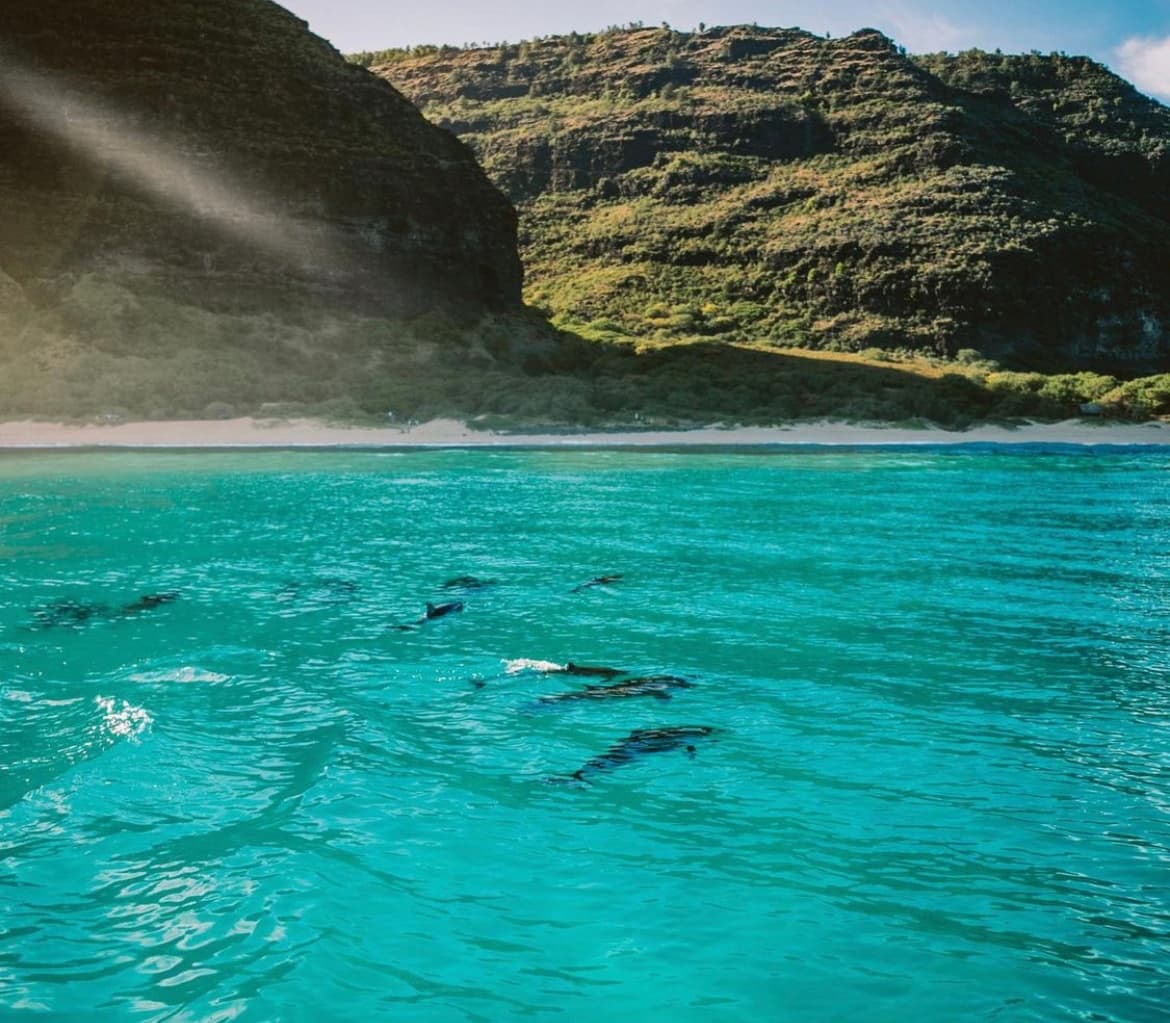 Private Sightseeing and Snorkel Tour