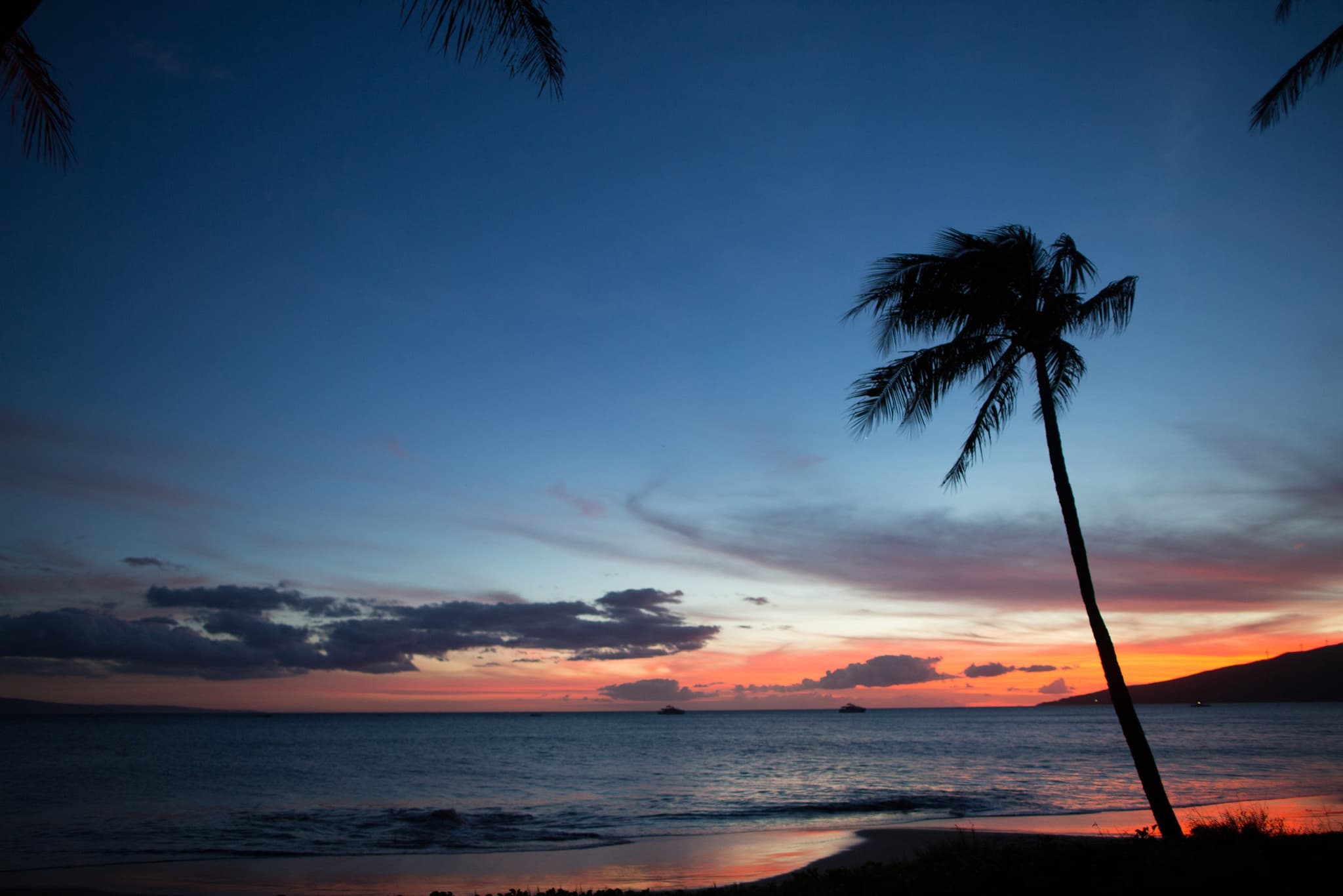 Movie Night Under The Stars