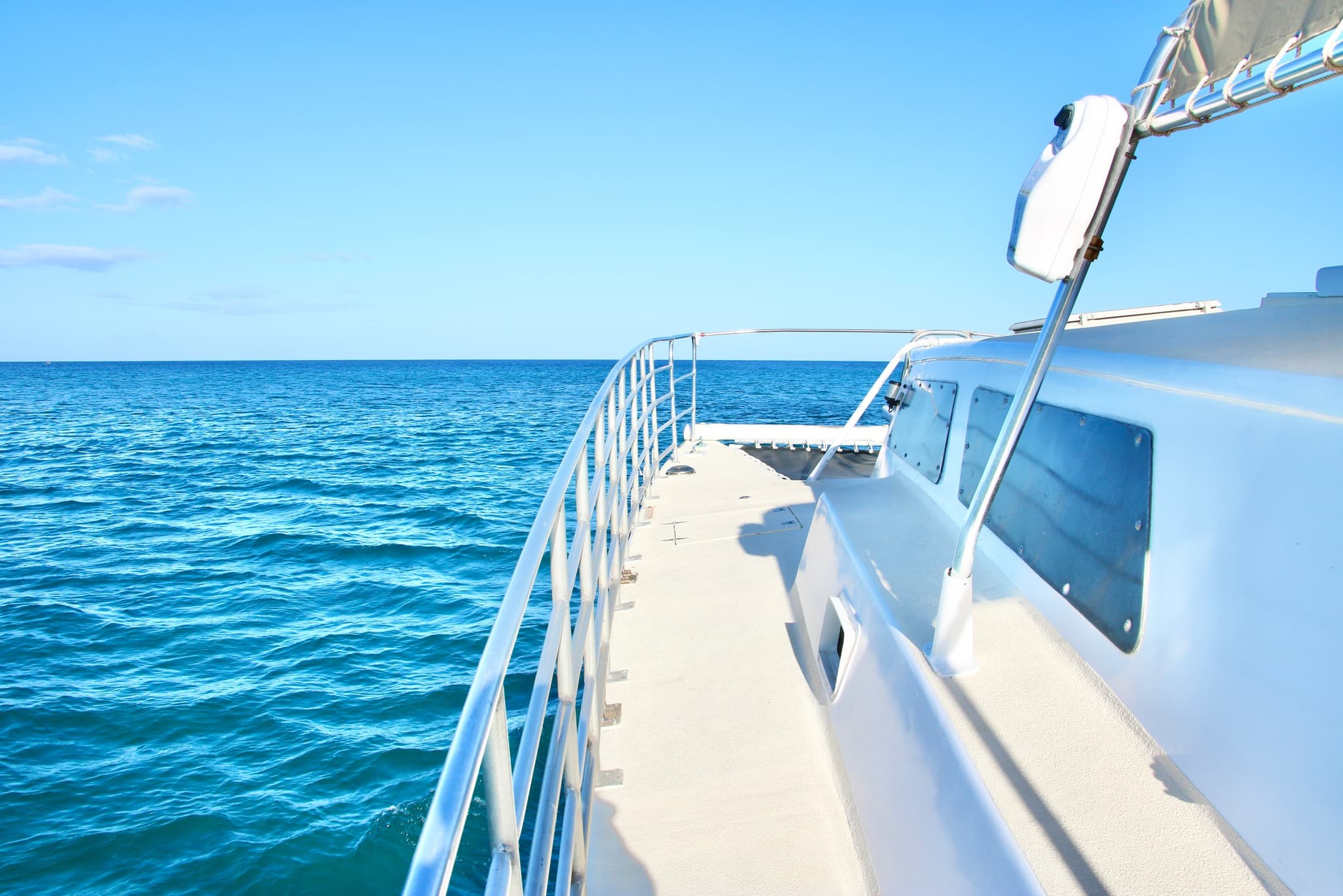 Private Cruise - Dolphin & Snorkel