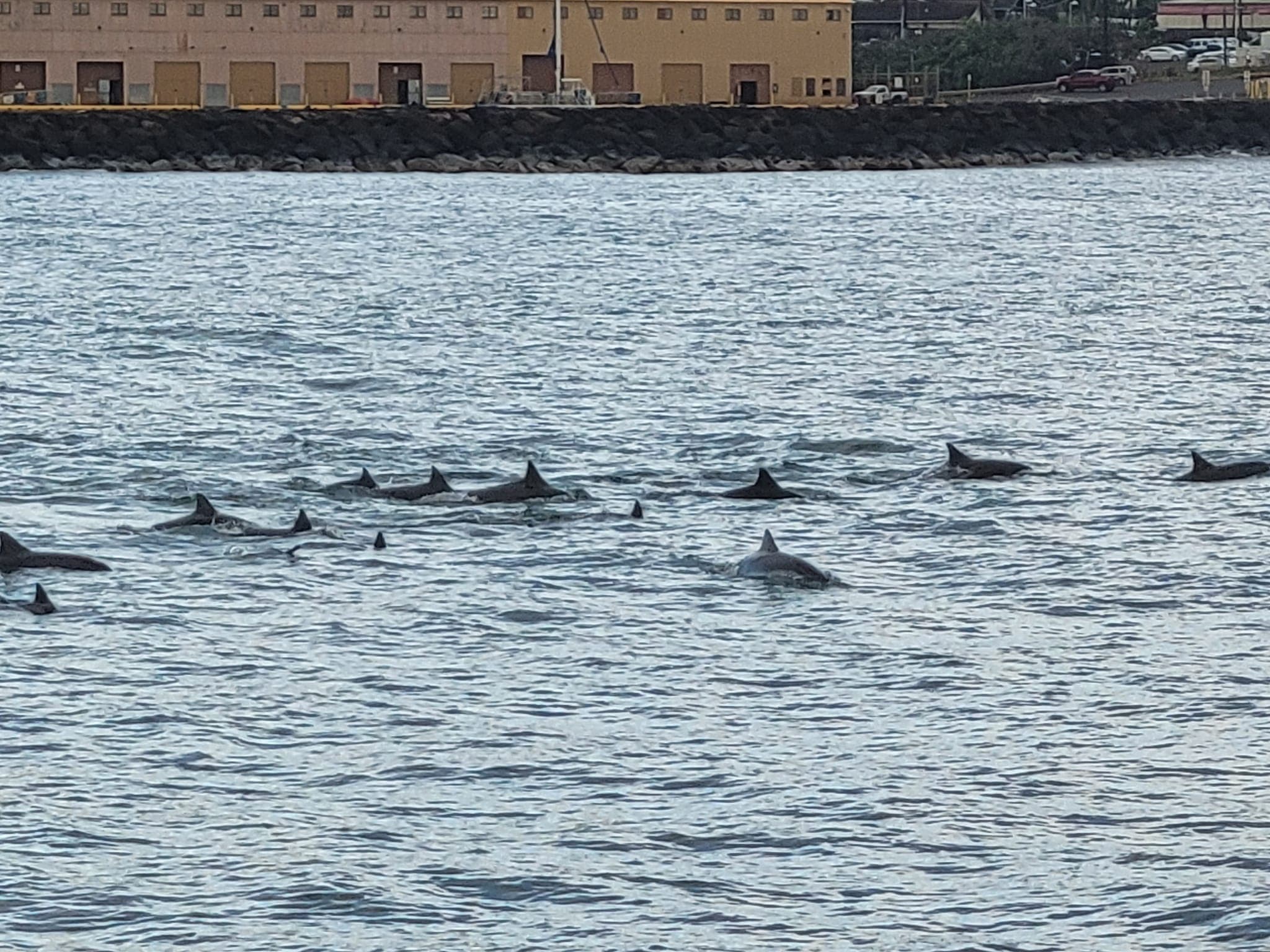 NI'IHAU EPIC Private Charter