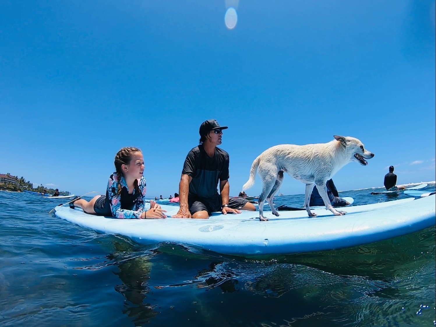 Semi-Private - 3 Days Clinic