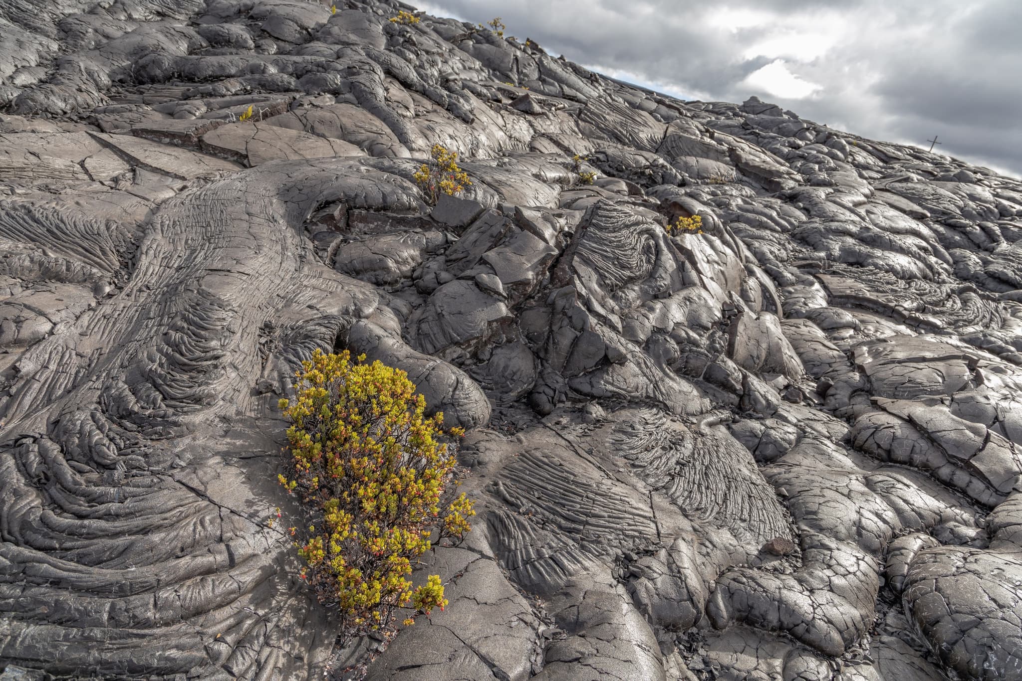 High Country Adventure