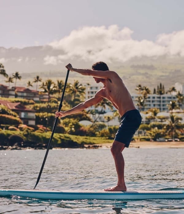 Paddle Boards Rental