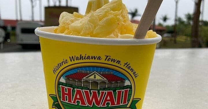 Private VIP Limousine Tour "Dole Plantation" & the "North Shore"