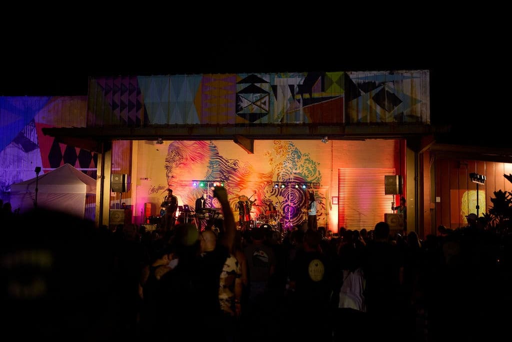 Talib Kweli Live in Concert