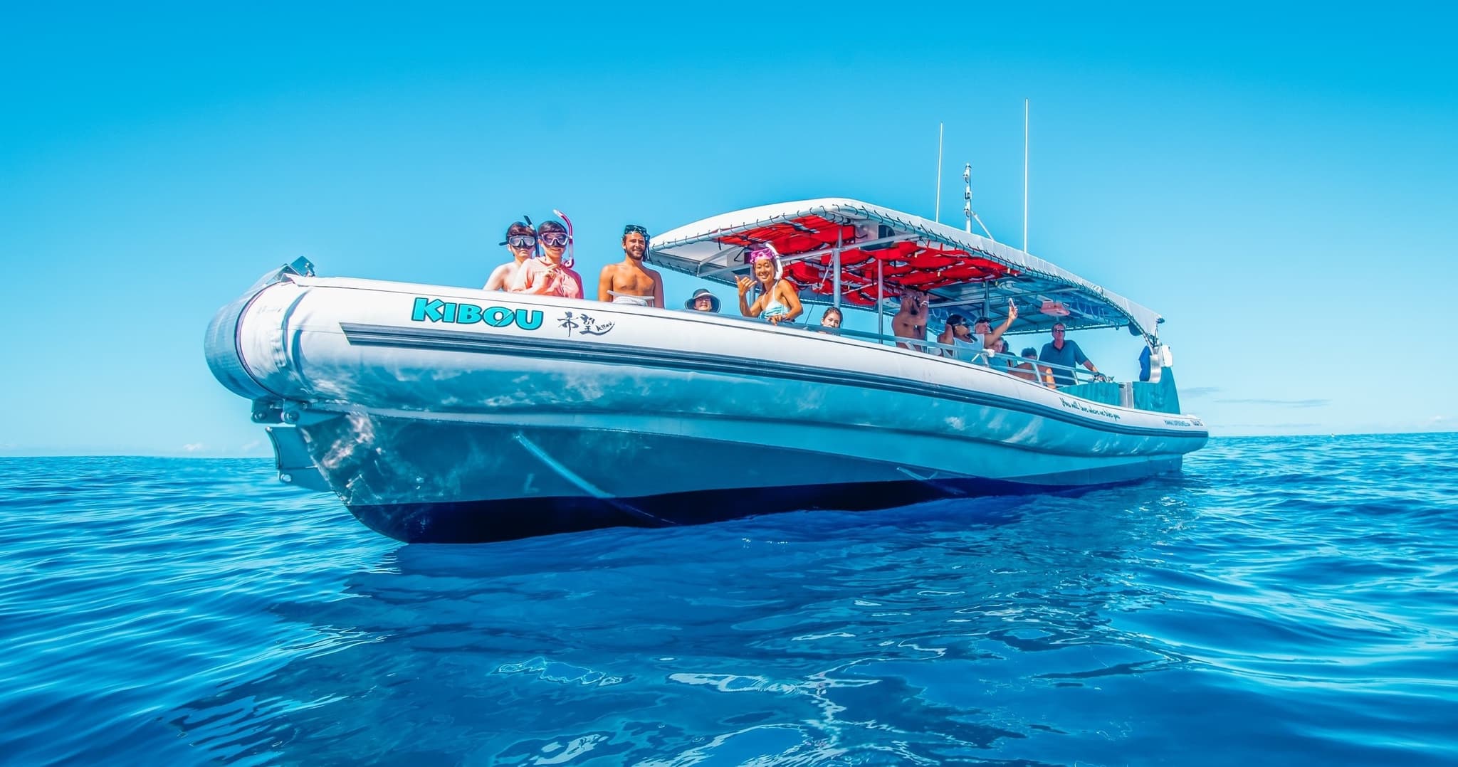 Kona: 3-Hour Snorkel & Dolphin Watching with Lunch