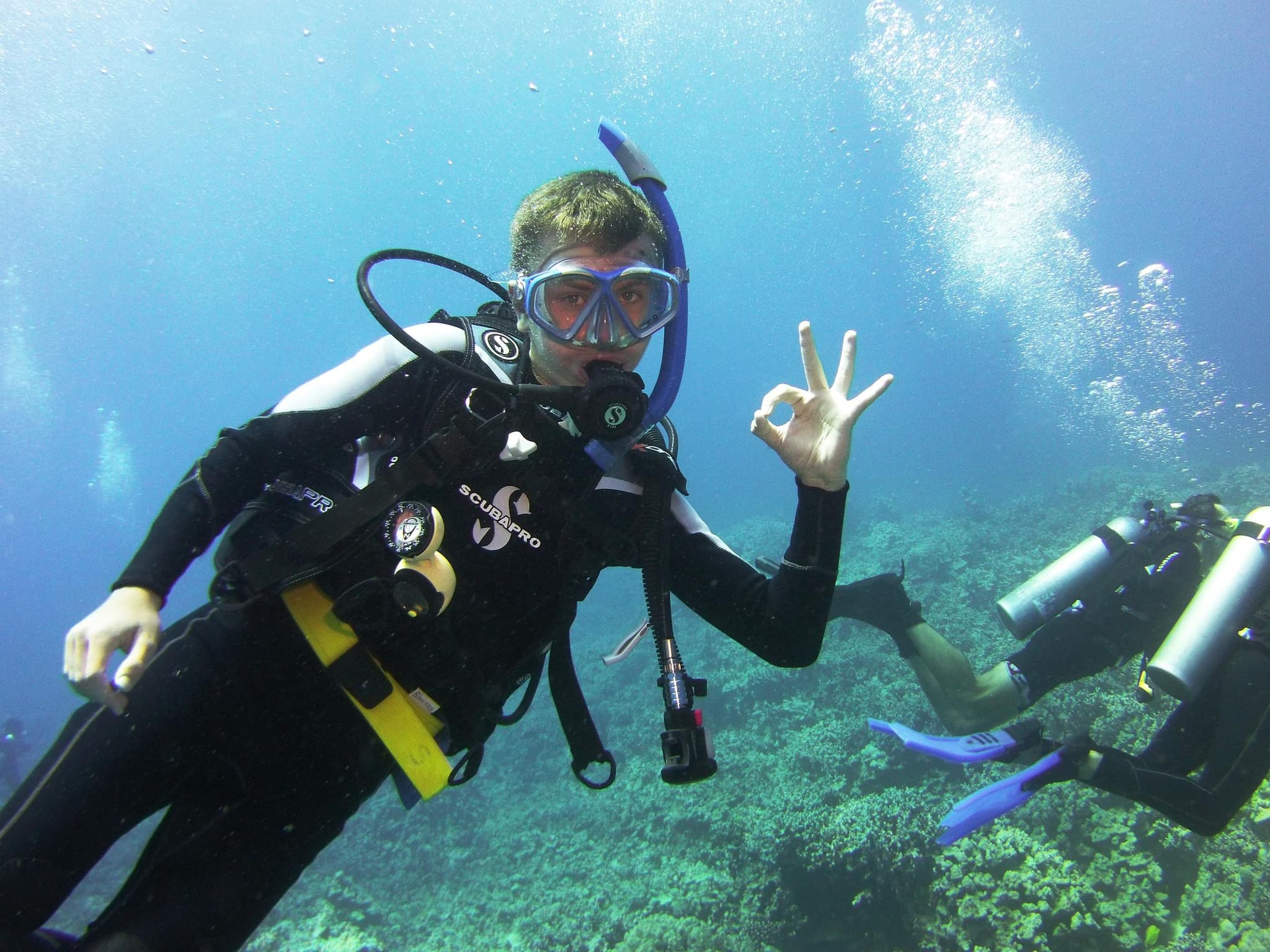Booked your Pool already? Now you qualify for Discover Scuba One-Tank Afternoon Boat Dive