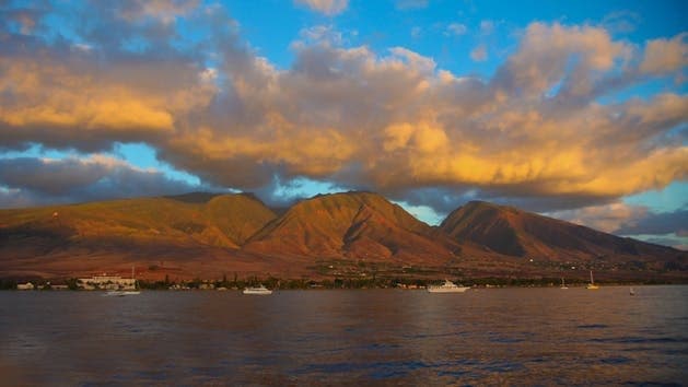 Thanksgiving Premium Seating Dinner • Ma'alaea