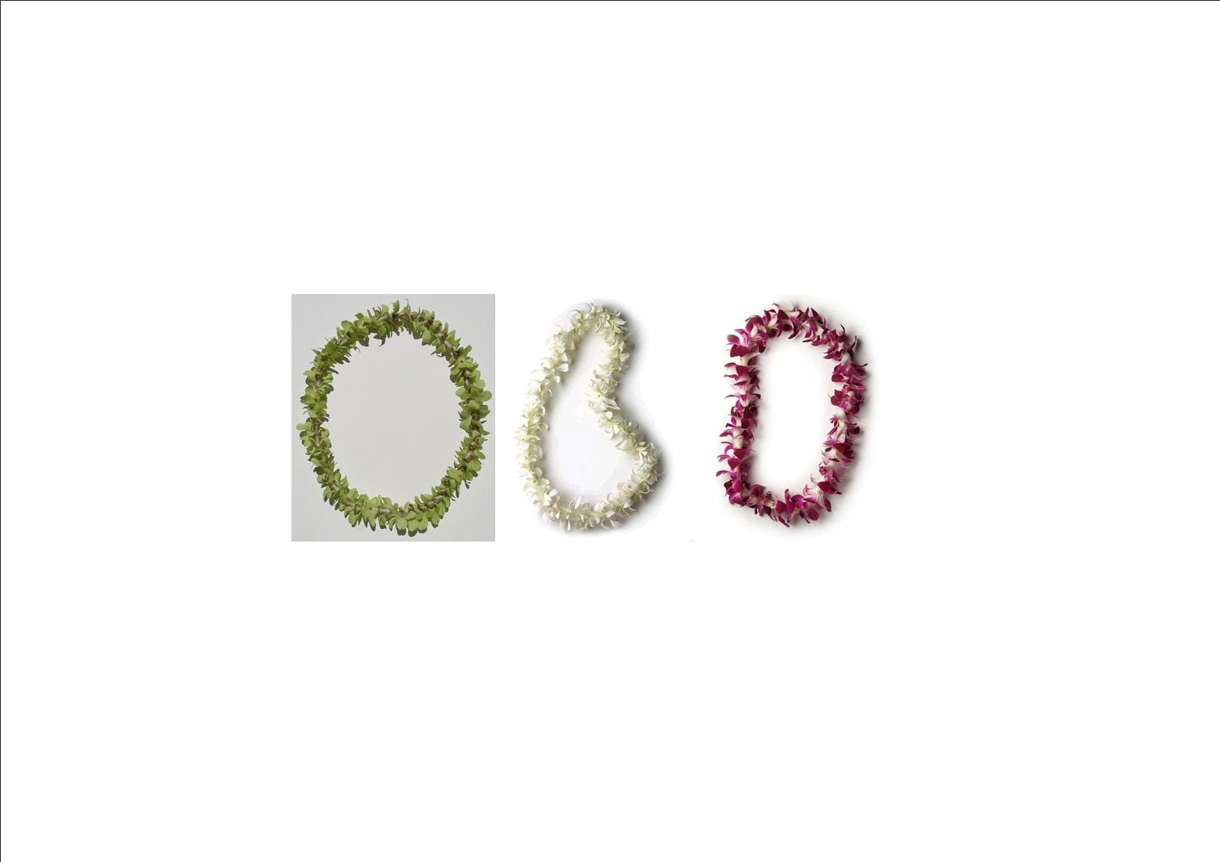 Fresh Flowers & Leis $25.00