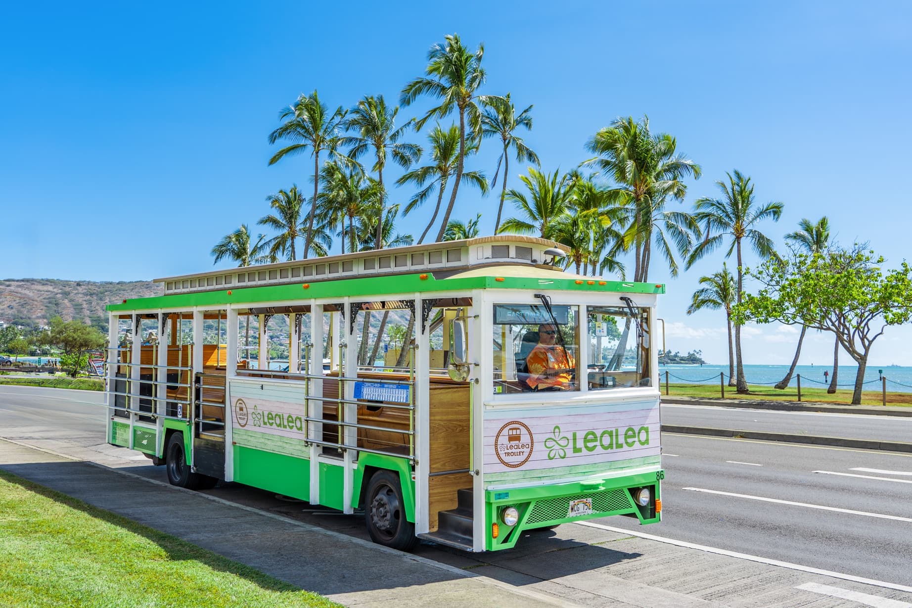 LeaLea Trolley 7 Line + Waikiki Trolley Pink Line 1-Day Pass