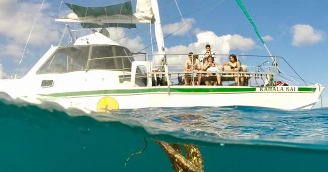 Turtle Canyon Catamaran Snorkel Cruise