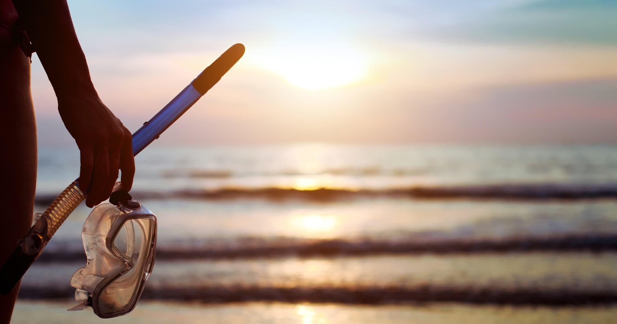 Gear Rental with Honolulu Snorkel