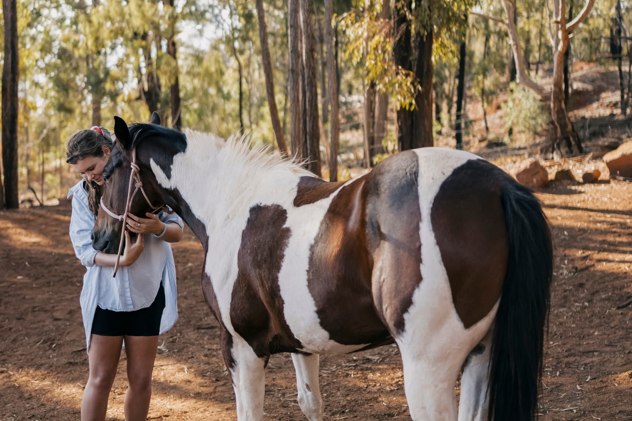 Sunshine Horseback Ride