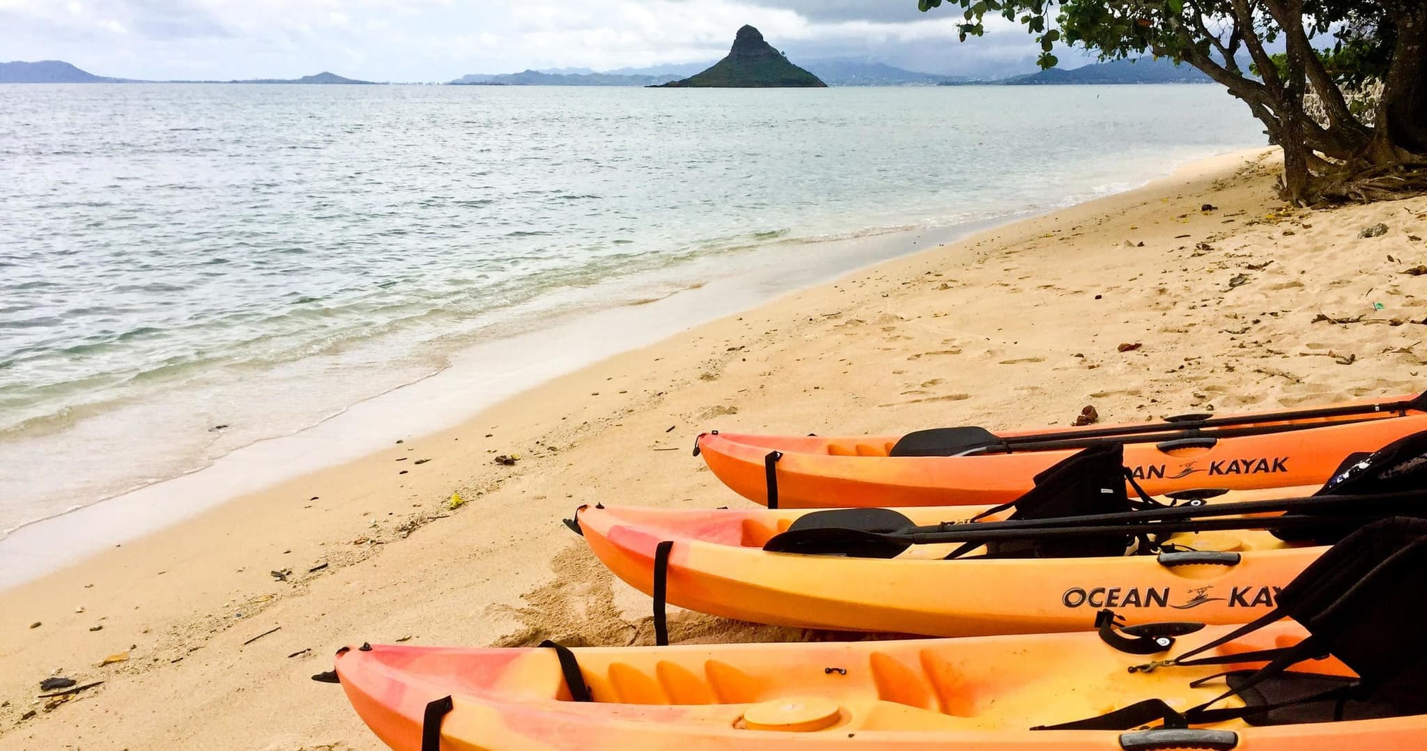 Kayak & Beach Gear Rental