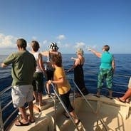 Private Charter (Kailua-Kona Pier Departure)