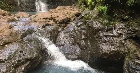 Guided Waterfall/Jungle Tour - Manoa Falls, Lulumahu, Waimano