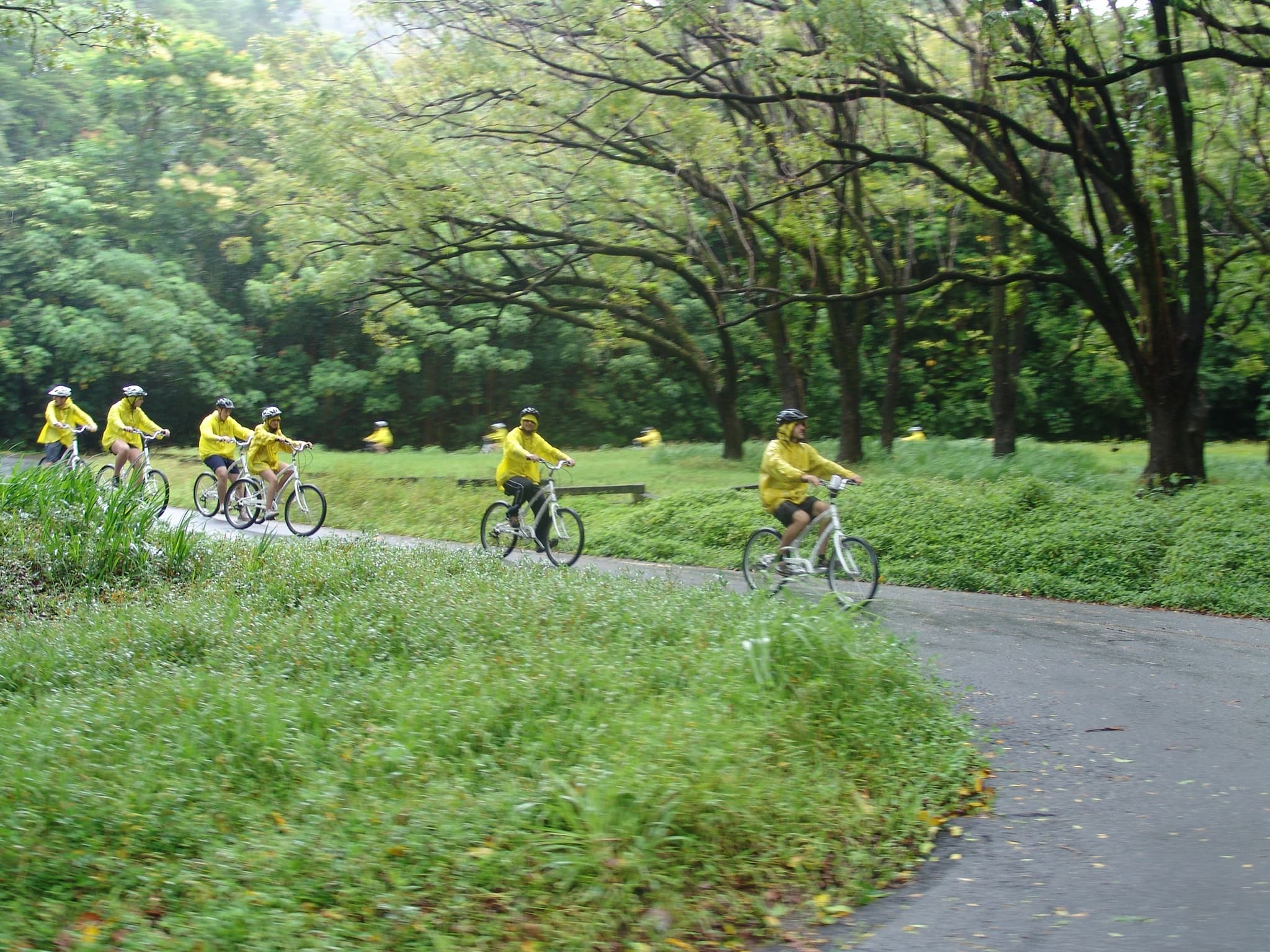 Downhill Bike Adventure